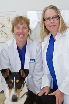Dr. Höch und Dr. Gerhardt-Pischitzis betreuen gemeinsam die herzkranken Hunde und Katzen.